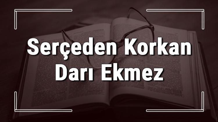 Serceden Korkan Dari Ekmez Atasozunun Anlami Ve Ornek Cumle Icinde Kullanimi Tdk