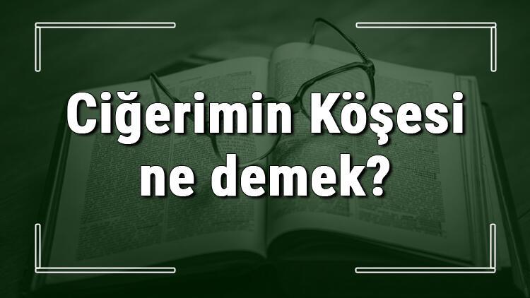 Cigerimin Kosesi Ne Demek Cigerimin Kosesi Deyiminin Anlami Ve Ornek Cumle Icinde Kullanimi Tdk