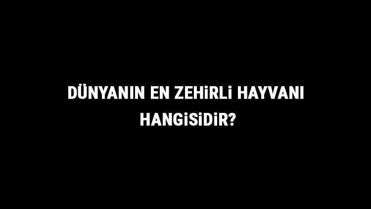 dunyanin en zehirli hayvani hangisidir dunyanin en zehirli hayvanlari ve ozellikleri