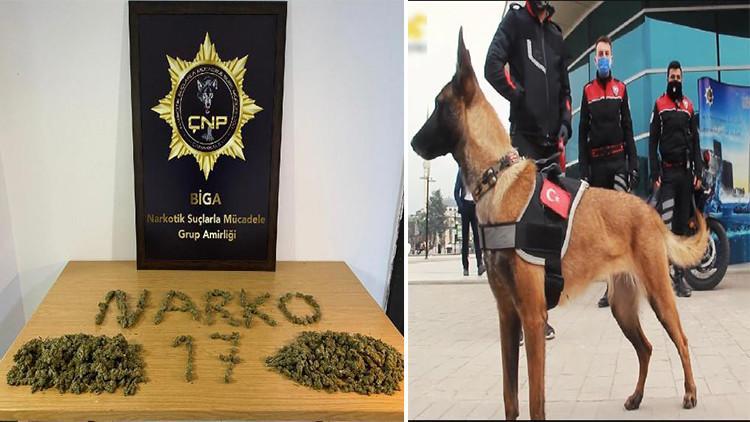 Durdurulan Aracta K 9 Narkotik Kopegi Lina Yla Yapilan Aramada Uyusturucu Ele Gecirildi Son Dakika Haberleri Internet