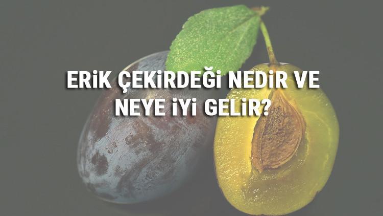 Erik Cekirdegi Nedir Ve Neye Iyi Gelir Erik Cekirdegi Faydalari Mahmure