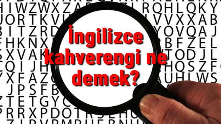 İngilizce kahverengi ne demek? Kahverengi kelimesinin İngilizce