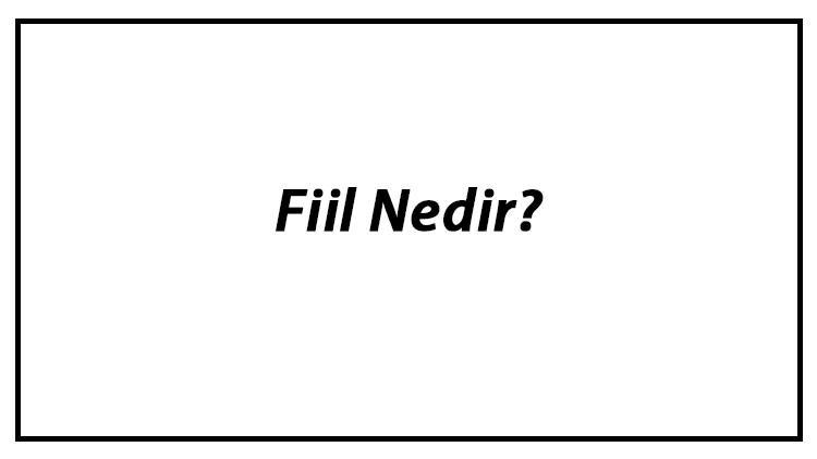 fiil nedir fiil cesitleri olan is olus ve durum fiilleri konu anlatimi fiil nedir fiil cesitleri olan is olus ve durum fiilleri konu anlatimi