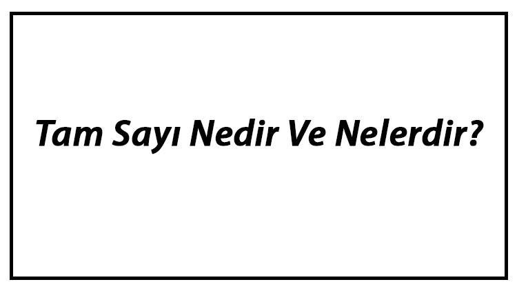 tam sayi nedir ve nelerdir tam sayilar ornekleri ve konu anlatimi tam sayi nedir ve nelerdir tam sayilar ornekleri ve konu anlatimi