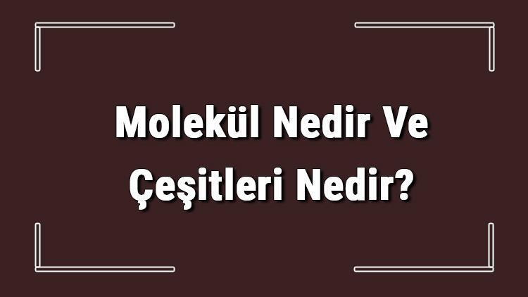 Molekul Nedir Ve Cesitleri Nedir Molekul Yapisi Sayisi Kutlesi Ve Ozellikleri Hakkinda Bilgi