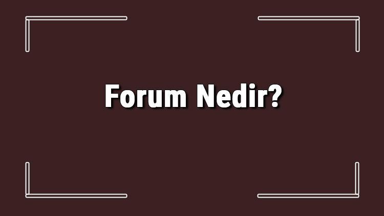 forum nedir forumun ozellikleri nelerdir