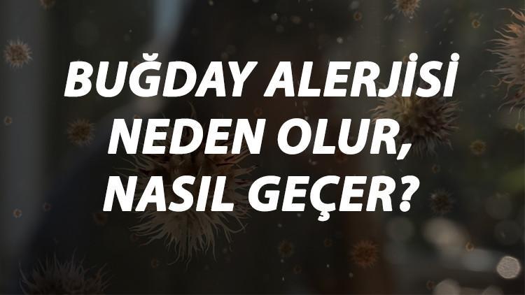 Bugday Alerjisi Nedir Neden Olur Ve Nasil Gecer Bugday Alerjisi Belirtileri Ve Tedavisi Hakkinda Bilgi Saglik Haberleri