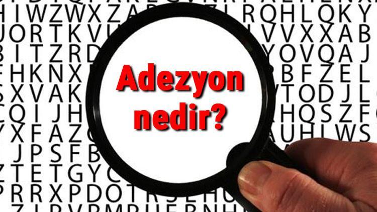 adezyon nedir adezyon kuvveti ozellikleri ornekleri ve formulu adezyon nedir adezyon kuvveti ozellikleri ornekleri ve formulu