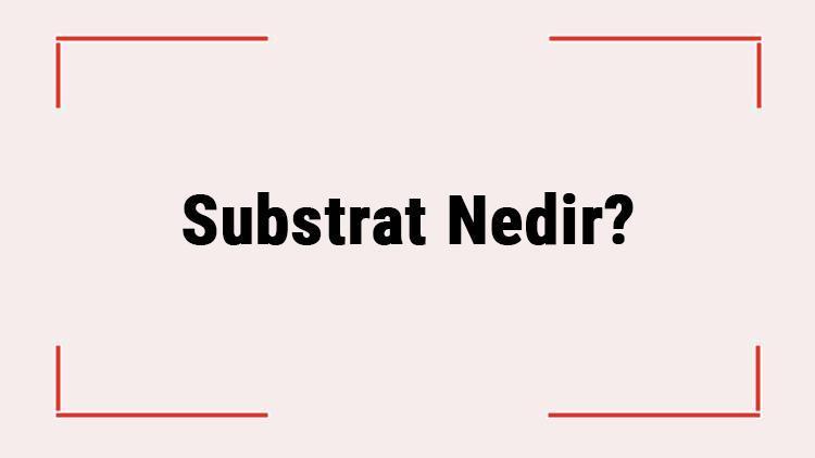 Substrat Nedir Substrat Ozellikleri Ve Gorevleri Nelerdir