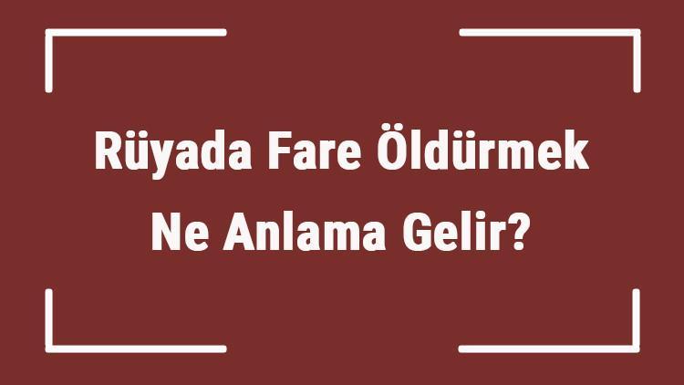 Ruyada Fare Oldurmek Ne Anlama Gelir Ruyada Evde Buyuk Kucuk Ve Birden Cok Fare Oldurmenin Tabiri Mahmure
