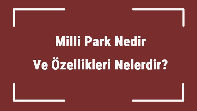 Milli Park Nedir Ve Ozellikleri Nelerdir Ulkemizde Kac Tane Milli Park Vardir Ve Ornekleri