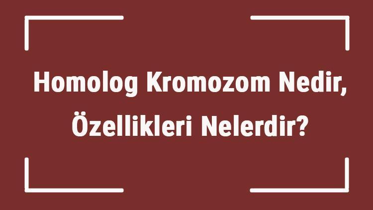 homolog kromozom nedir ozellikleri nelerdir homolog koromozom ayrilmasi hangi evrede gerceklesir