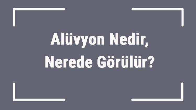 Aluvyon Nedir Nerede Gorulur Cografyada Aluvyon Toprak Ve Zemin Nedir