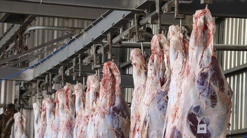 Kurban eti buzdolabına ne zaman koyulur? Kurban eti ne kadar