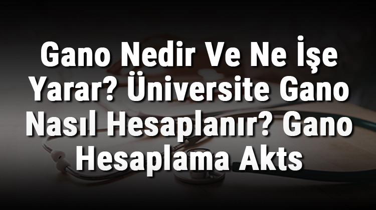 Gano Nedir Ve Ne İşe Yarar? Üniversite Gano Nasıl Hesaplanır? Gano