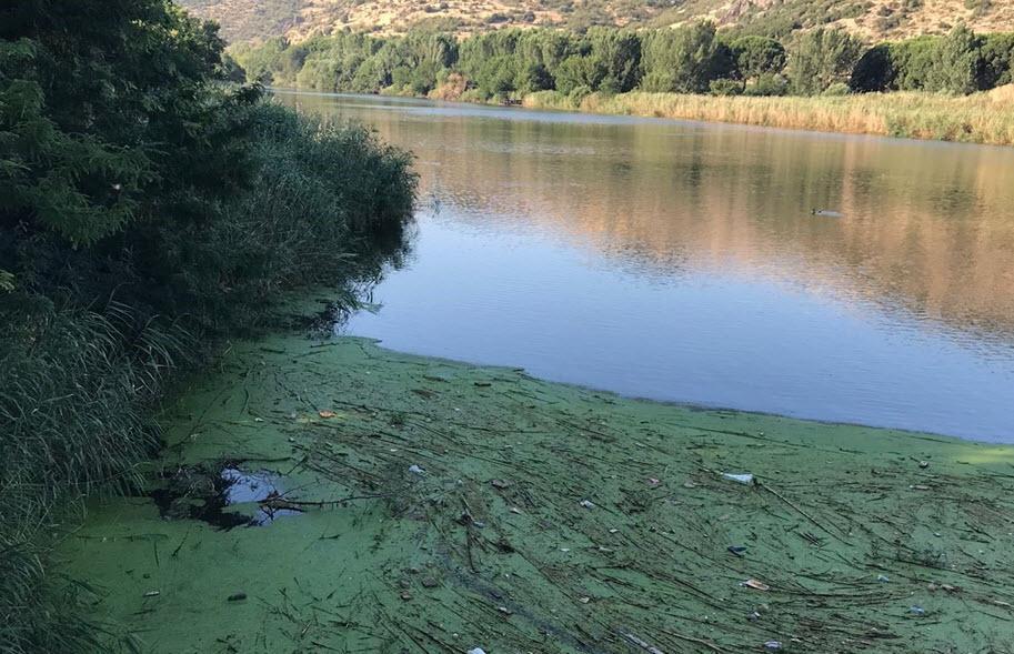 Ζήτω το έργο Gediz Clean Water and Clean Food, τεχνολογική υποστήριξη