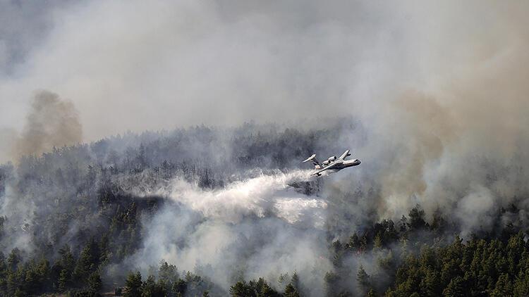 Συνεχίζονται οι δασικές πυρκαγιές στην Ελλάδα – Τελευταία νέα