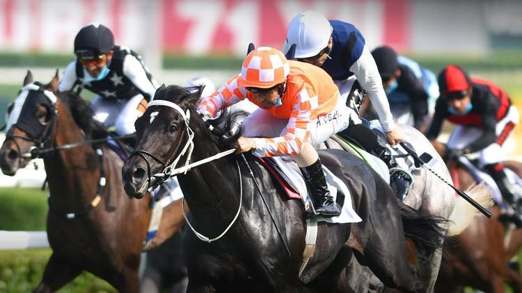 Veliefendi Hipodromu Haberleri Son Dakika Veliefendi Hipodromu Hakkinda Guncel Haber Ve Bilgiler