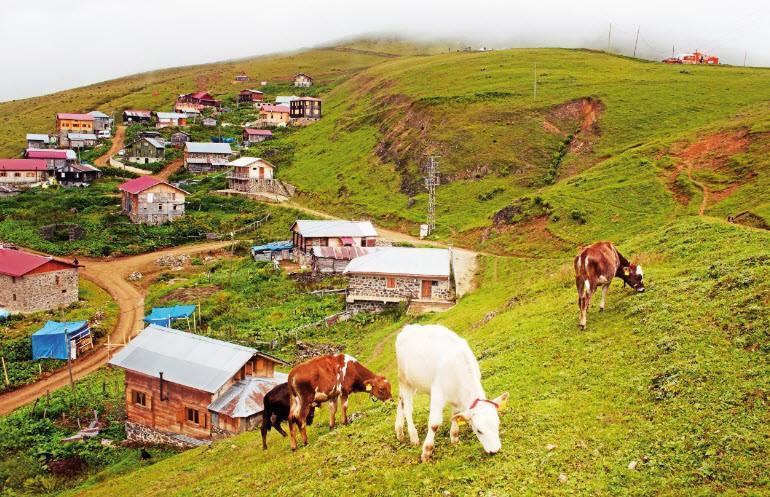 Trabzon Dan Rize Ye 34 Adim Saffet Emre Tonguc Kose Yazilari