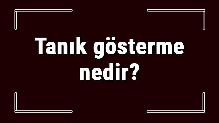 Tanik Gosterme Nedir Ve Alinti Yapma Ile Farki Nasildir Tanik Gosterme Ornekleri Ve Cumleleri Ile Konu Anlatimi