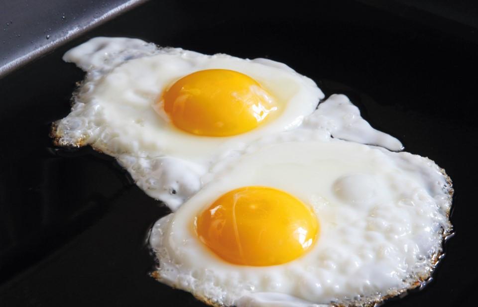 Bu Yumurta Mutlu Bir Tavuktan Mi Bu Yumurta Mutlu Bir Tavuktan Mi