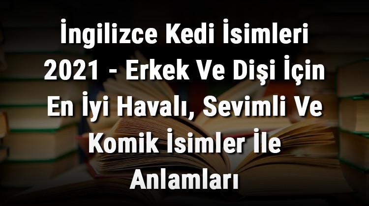 Bicerdover Haberleri Son Dakika Bicerdover Hakkinda Guncel Haber Ve Bilgiler