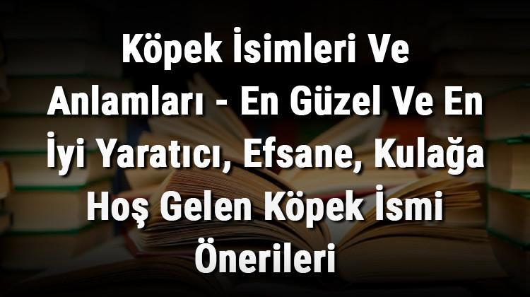 Kopek Isimleri Ve Anlamlari En Guzel Ve En Iyi Yaratici Efsane Kulaga Hos Gelen Kopek Ismi Onerileri