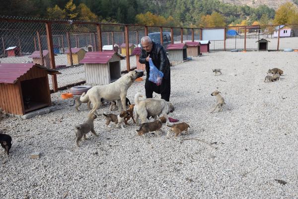 Feke Haberleri Feke De Hayvan Barinagi Yapimi Tamamlandi Adana Haberleri