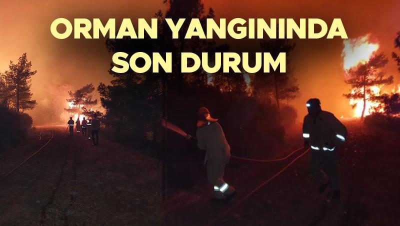 Marmaris orman yangınında son durum ne Yangın söndürüldü mü İşte son dakika gelişmeleri Marmaris orman yangınında son durum ne Yangın söndürüldü mü İşte son dakika gelişmeleri