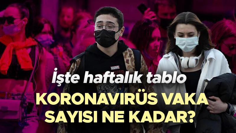 Koronavirüs vaka sayısı ne kadar Türkiye 11 - 17 Temmuz 2022 corona virüs tablosu belli oldu İşte haftalık covid-19 hasta, vaka ve vefat oranı Koronavirüs vaka sayısı ne kadar Türkiye 11 - 17 Temmuz 2022 corona virüs tablosu belli oldu İşte haftalık covid-19 hasta, vaka ve vefat oranı