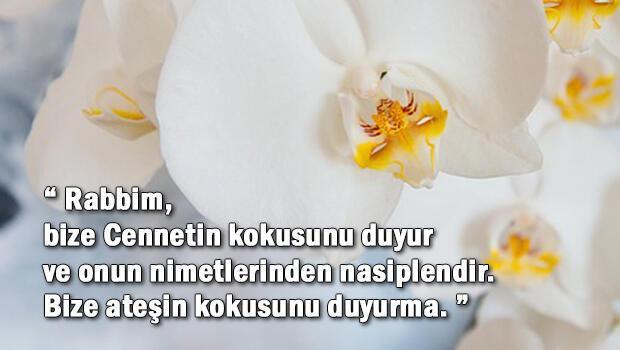 CUMA MESAJLARI 2022 CUMA MESAJLARI 2022