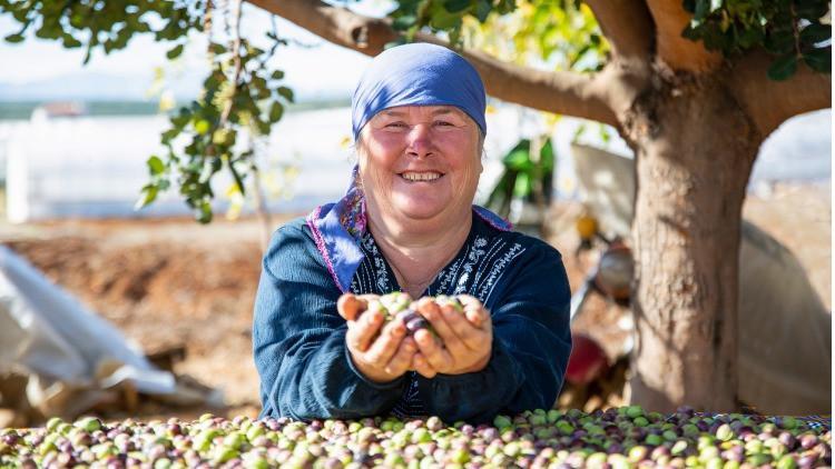 Mazot ve gübre desteği ödemeleri yattı mı, ne zaman yatacak 2022 Mazot ve gübre desteği kaç TL