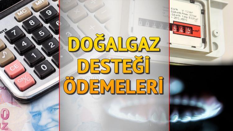 Devlet hibe desteği 2024