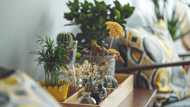 Kendi iç bahçenizi oluşturmanın yolları...