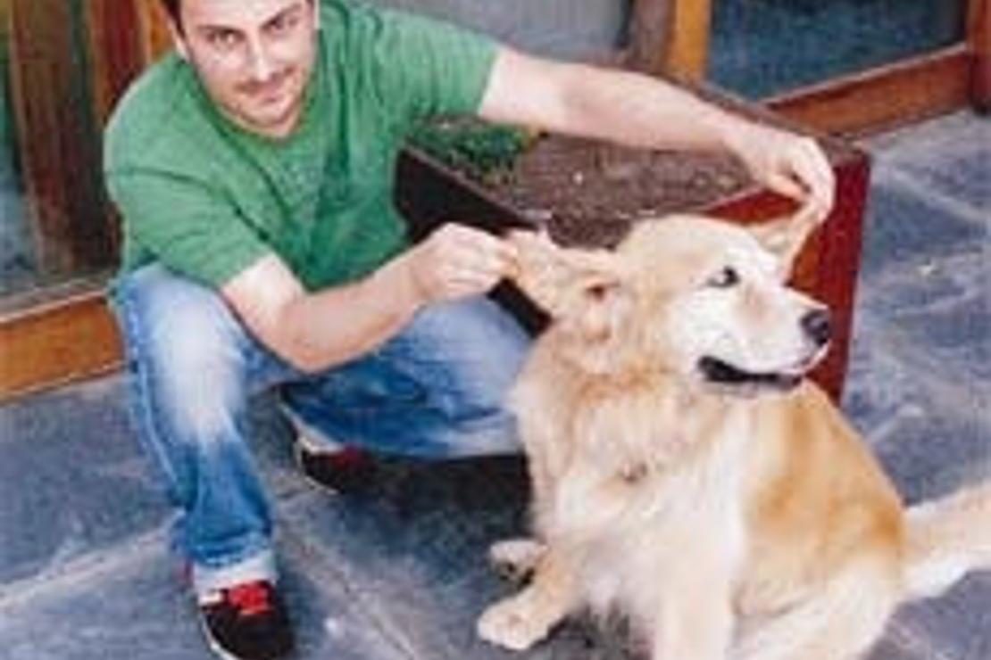 Gündüz yönetici gece yemek blogu yazarı