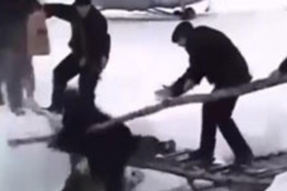 CumhurbaÅŸkanı dereye düÅŸtü