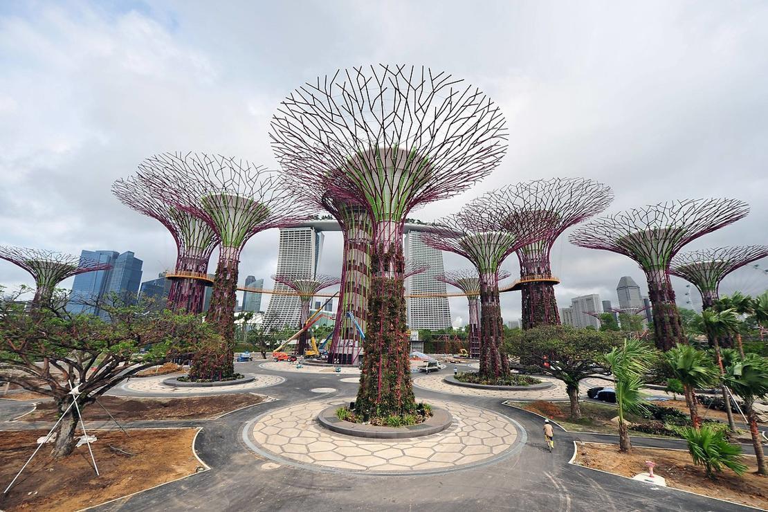 Singapur'un masal diyarı botanik bahçeleri
