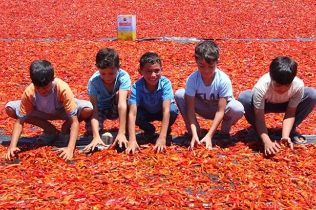 Şanlıurfalıların 'acı' telaşı başladı