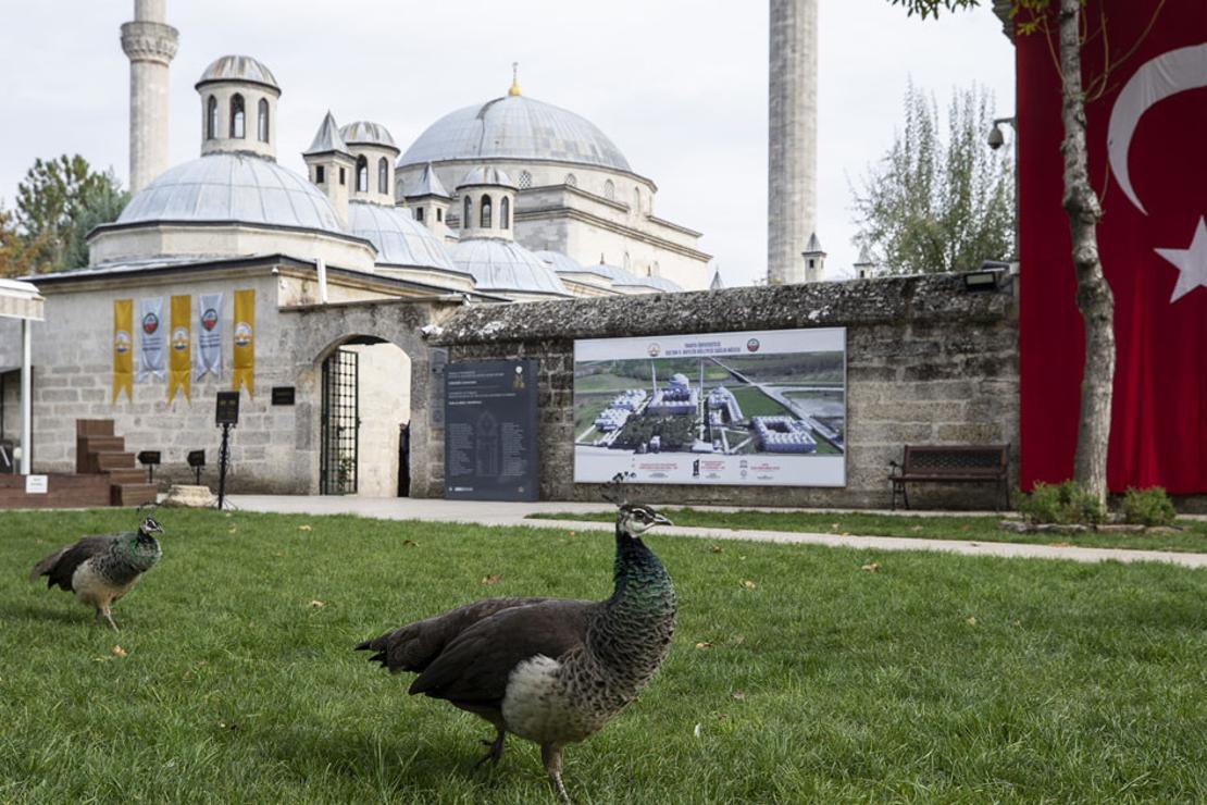 Osmanlı'nın ÅŸifa yöntemlerinin anlatıldığı müzeye ziyaretçi akını