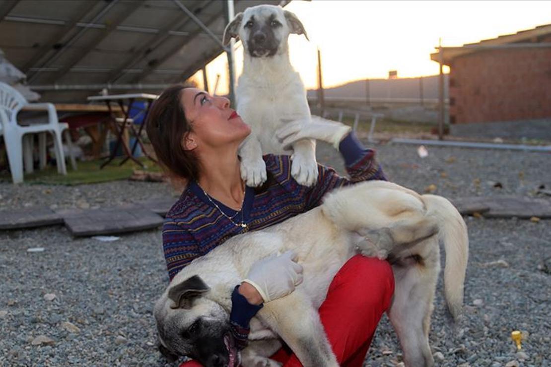 Köpeklerin mutlu olduğu köy
