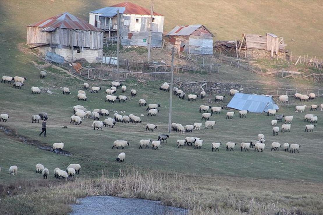 Giresun'daki Gölyanı Obası için 'tabiat parkı' talebi