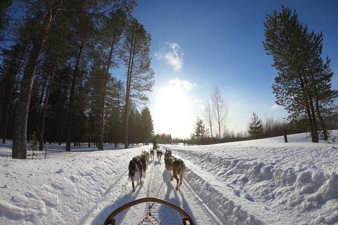 Lapland: Kuzeyin sönmeyen ateşi