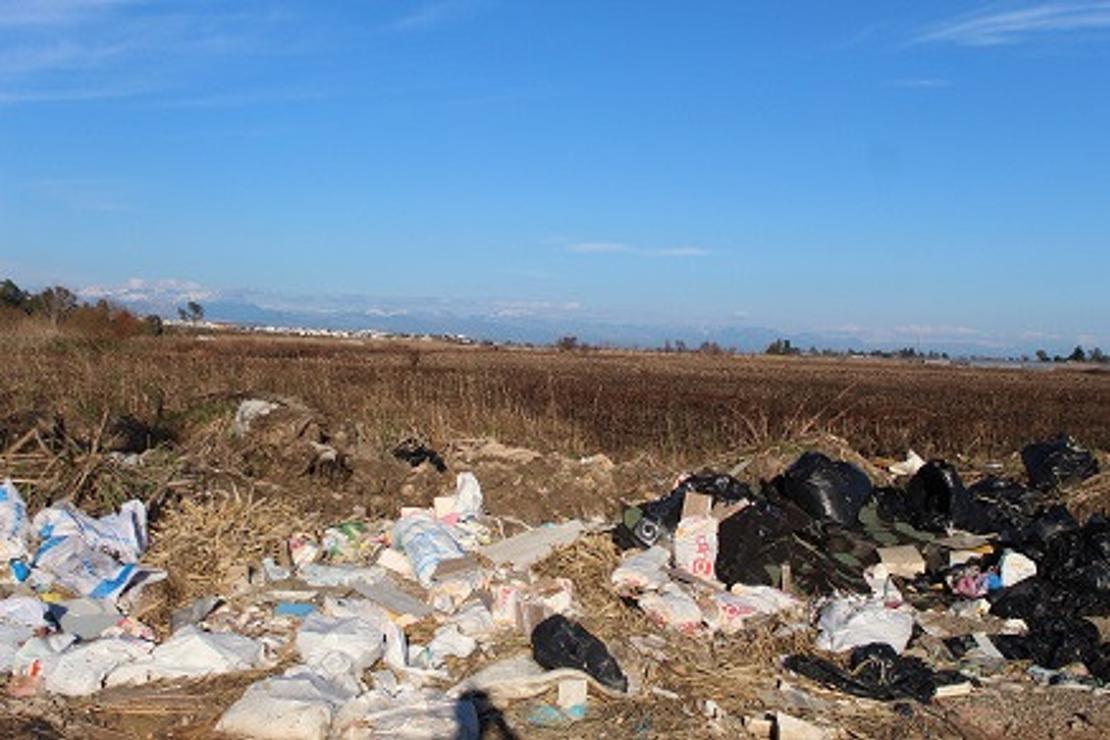 Bir zamanlar kuş cenneti olan Yamansaz atık ve kirlilik tehdidi altında