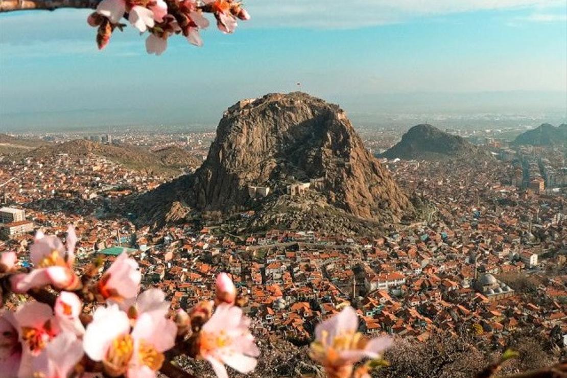 Afyonkarahisar'da baharın müjdecisi badem ağaçları çiçek açtı