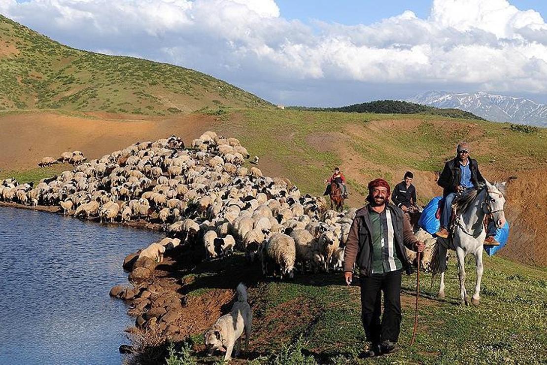 Göçerlerin zorlu yolculuğuna 'Kovid-19' molası