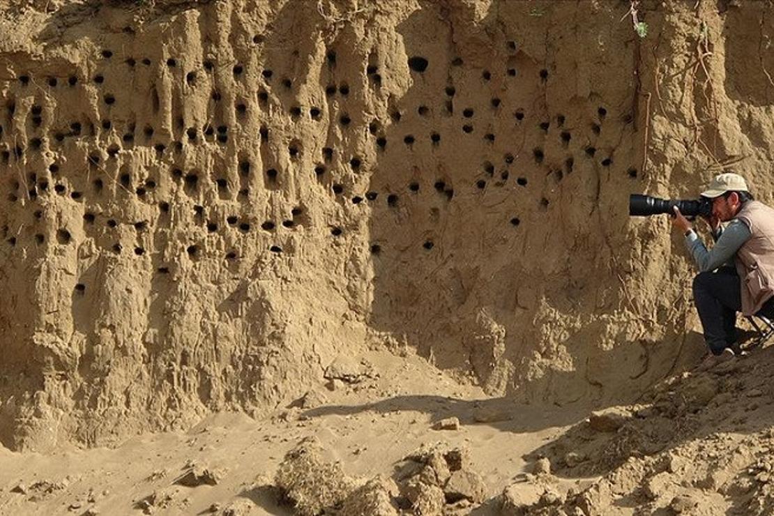 Van'da kırlangıçların yuva yaptığı tepe fotoÄŸraf tutkunlarının mekanı oldu