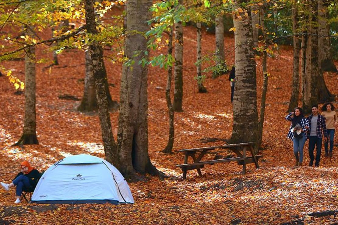 Ilgaz Dağı Milli Parkı'nda kamp alanları belirlenecek