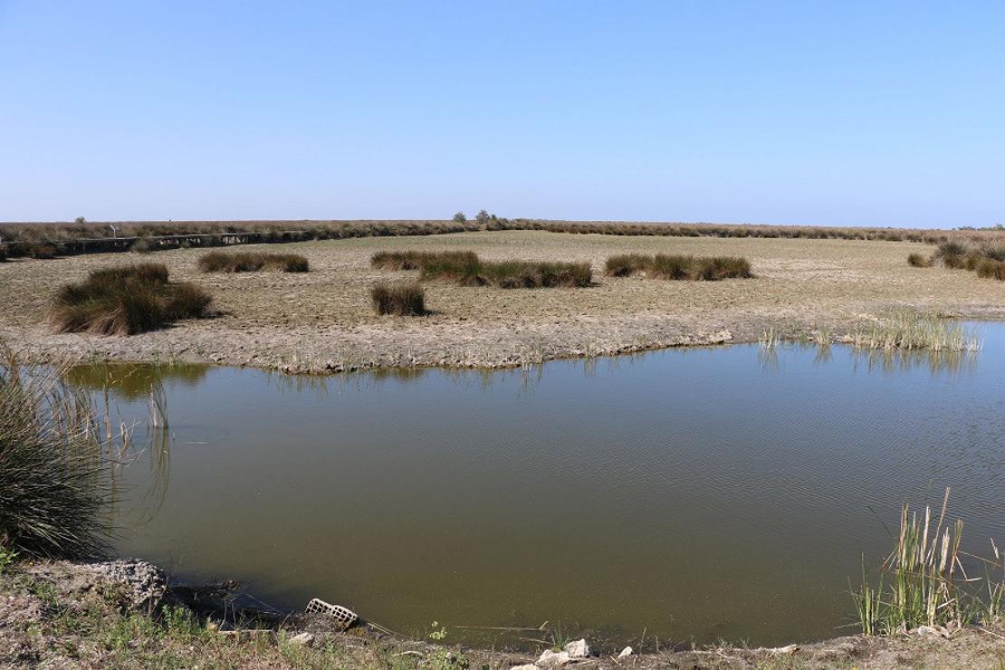 Kızılırmak Deltası'ndaki yangın, UNESCO sürecini etkilemeyecek