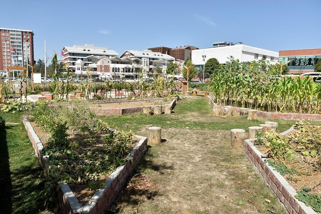 Yeryüzü Ekoloji Okulunda hazırlıklar sürüyor