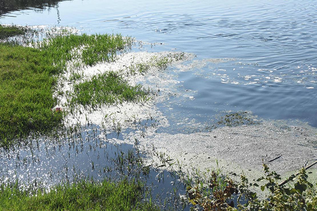 Gediz Nehri'ndeki kirlilik ve kokuya tepki